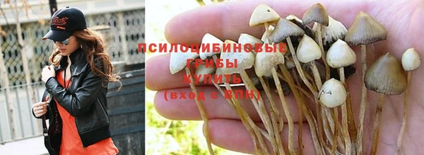 круглые Мегион